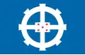 House flag used since 1979, by the Delmas-Vieljeux-Chargers company, run together with the Chargeurs company.