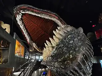Heritage of the Sea exhibit at House on the Rock