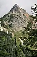 Huckleberry from southwest