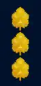 Israel (Aluf Mishne)