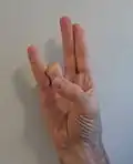 Q