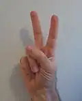 V