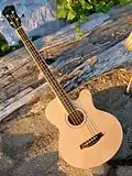 Ibanez Acoustic Bass