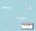 Map of the Ilhas Selvagens