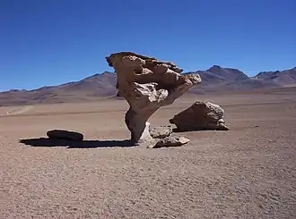 The Árbol de Piedra is a 7-metre-tall ventifact in the Altiplano region of Bolivia (Wilken, 2002).