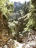 On the trail