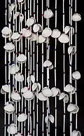 Seashell curtain