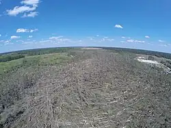An aerial view of a forest, with numerous trees downed or damaged by the tornado.