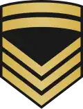 Ard-mhion-oifigeach Irish Naval Service[10]