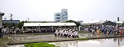 Rice Planting festival