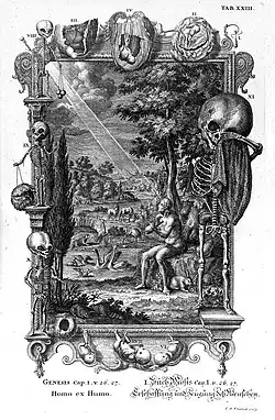 An elaborate anatomical illustration shows a central scene of the biblical creation of man, framed by skeletons, fetuses, and organs, with Latin and German inscriptions