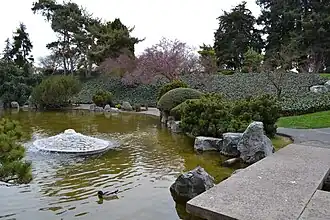 Lower pond