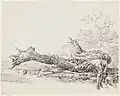 An Ancient Tree Fallen Beside a Stream, c. 1814