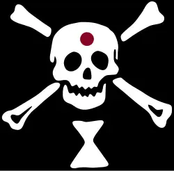Jolly Roger from The Island