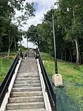 The refurbished Joncaire Street city steps (with bike runnel) in Central Oakland