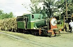 Djatibarang 10