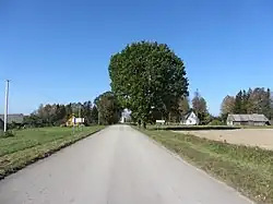 Juodupė eldership, Lithuania
