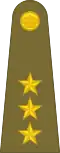 Captain