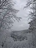 Kaaterskill Clove in Winter