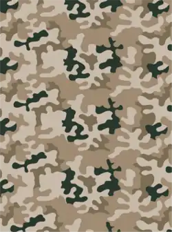 Desert variant of Wz.93 (Also known as "PL Desert")