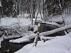 A snowy creek and stream