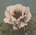 Hand-colored collotype, 1896.