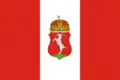 Flag of Kecskemét District