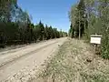 Road through the forest