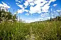 Looking along a park trail