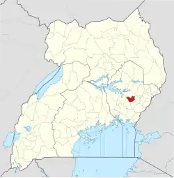Kibuku