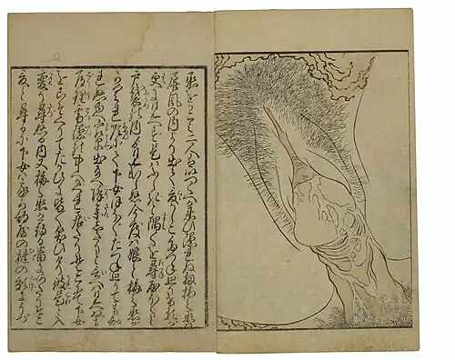 Page combining explanatory text and an anatomical illustration of the genitals during penetration.