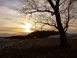 The park at dusk