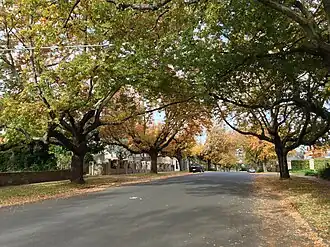 Knutsford Street, Balwyn