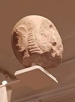Head of Koptos colossus I, with visible ear and beard