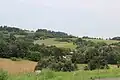 Kovačice - panorama
