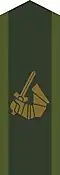 Collar patch m/58.