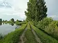 The cuseaway on one of the ponds