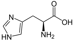 L-Histidine (His&nbsp;/&nbsp;H)