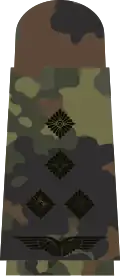 Stabshauptmann (flecktarn)