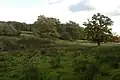 North of Barn copse, Looking north-easterly towards Slockett's Copse.