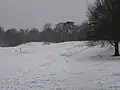 Landseer Park with snow, February 2009