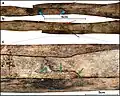 Burial 15. Perimortem fractures on the right radius