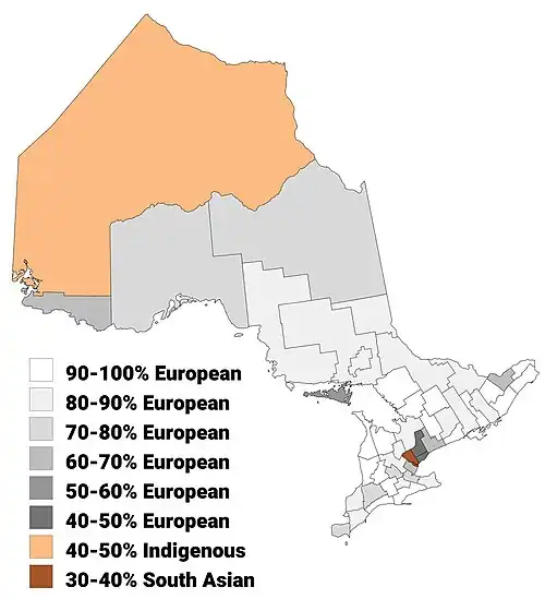 Largest panethnic groups in Ontario by percentage of total population by census division, 2021 census
