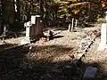 Concrete edging borders the Lawson family's grave.