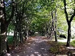 Park