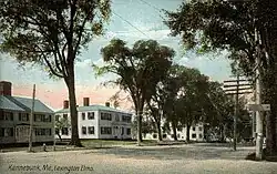 Lexington elms in 1908