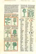 Page scan C, "Plants and Flowers"