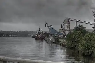 View from the Demerara River