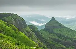 Lions Point