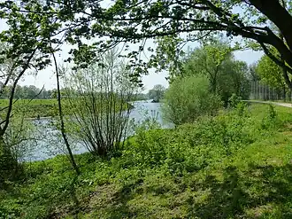 Nature, Lippe